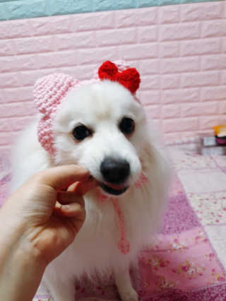 블리블리♡은블리♡님이 올린 리뷰 사진 4