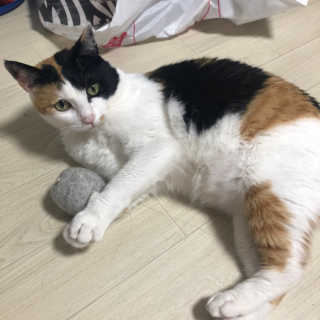 봄날님이 올린 리뷰 사진 3