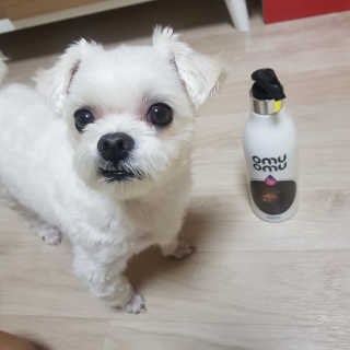 톰니님이 올린 리뷰 사진 3