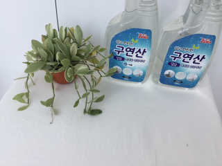kikiro34님이 올린 리뷰 사진 2