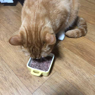 늘봄냥님이 올린 리뷰 사진 3