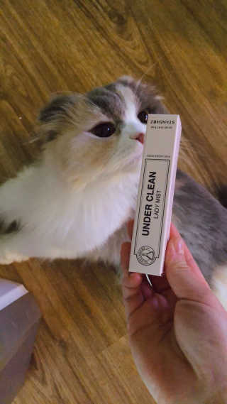 softbom님이 올린 리뷰 사진 1