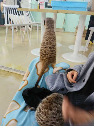 치르치르님이 올린 리뷰 사진 3