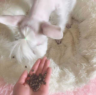 솔이님이 올린 리뷰 사진 3