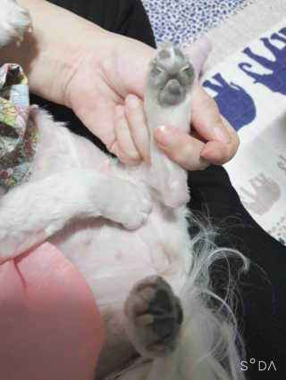 두부님이 올린 리뷰 사진 2