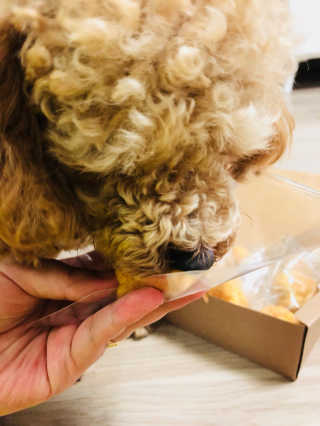 공블리님이 올린 리뷰 사진 3