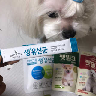 [빙그레] 에버그로 생유산균 1봉（10포입）+펫밀크2팩 — 4점을 준 리뷰어가 2019년 5월 올린 사용 사진