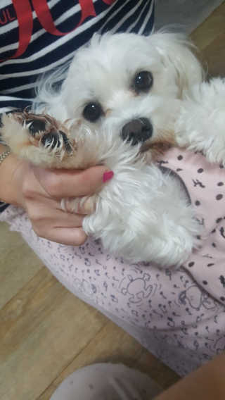 배보현님이 올린 리뷰 사진 4