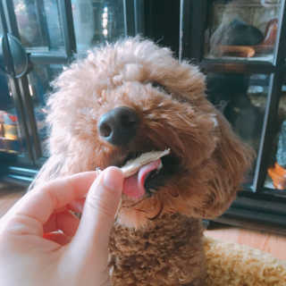 은치치님이 올린 리뷰 사진 1