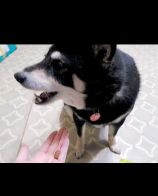 EunsunKim님이 올린 리뷰 사진 3
