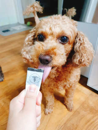 이예림님이 올린 리뷰 사진 1