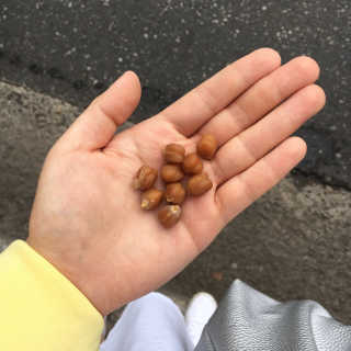 민지님이 올린 리뷰 사진 3