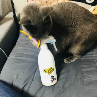 sdsgxhdhdjai님이 올린 리뷰 사진 4