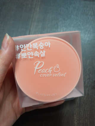 [블랙루즈] 피치 커버 벨벳 쿠션 2종 중 택1 — 4점을 준 리뷰어가 2019년 10월 올린 사용 사진