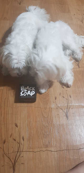공팔리터님이 올린 리뷰 사진 1