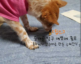 초희님이 올린 리뷰 사진 3