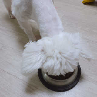 나린마마님이 올린 리뷰 사진 2