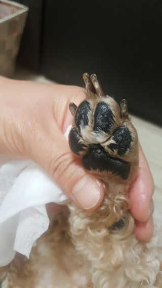 최난섭님이 올린 리뷰 사진 3