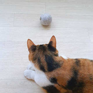 루나님이 올린 리뷰 사진 1