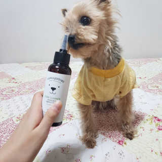 솜희님이 올린 리뷰 사진 3