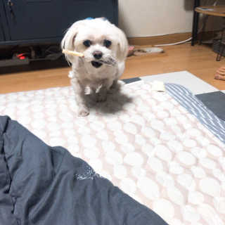 지녕지녕님이 올린 리뷰 사진 1
