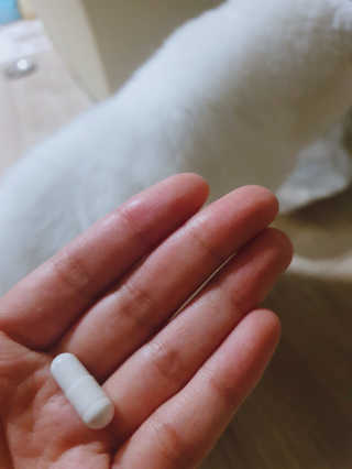 뜨뜨비님이 올린 리뷰 사진 3