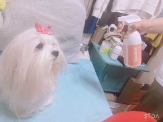 김인혜님이 올린 리뷰 사진 3