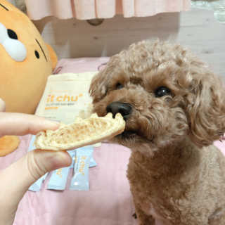 파이님이 올린 리뷰 사진 4
