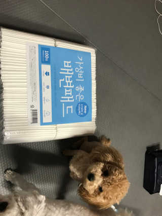 모모맘님이 올린 리뷰 사진 3