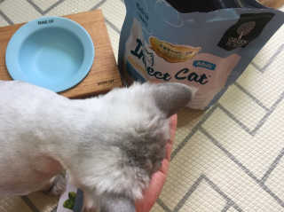 쿠키순대맘님이 올린 리뷰 사진 3
