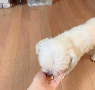 지윤님이 올린 리뷰 사진 2
