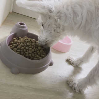 이소윤님이 올린 리뷰 사진 4