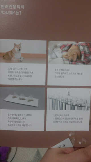 MungMoong님이 올린 리뷰 사진 4