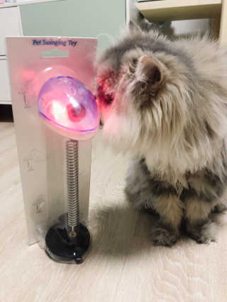 꼬끼오님이 올린 리뷰 사진 4