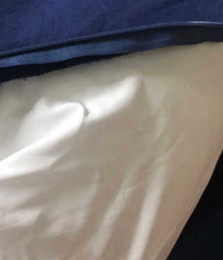 데닌슈님이 올린 리뷰 사진 1