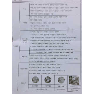나이팅게일 토닝 필링패드(티트리) — 4.5점을 준 리뷰어가 2017년 11월 올린 사용 사진