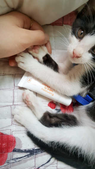 조명미님이 올린 리뷰 사진 3
