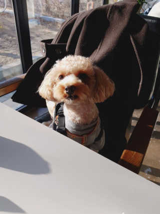 B님이 올린 리뷰 사진 3