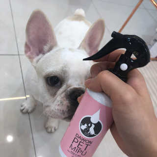 불독키우는개엄마❤️님이 올린 리뷰 사진 3