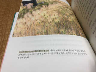 sunny님이 올린 리뷰 사진 4