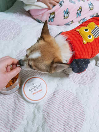 짬뽕이누나님이 올린 리뷰 사진 4