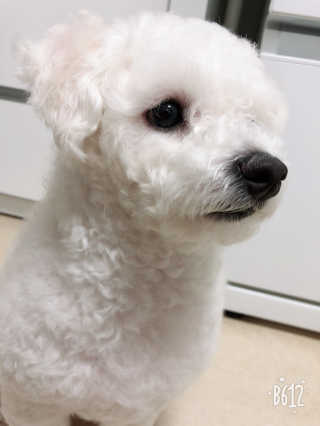 심쿵맘님이 올린 리뷰 사진 4
