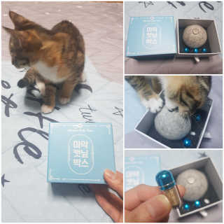 gajete님이 올린 리뷰 사진 1