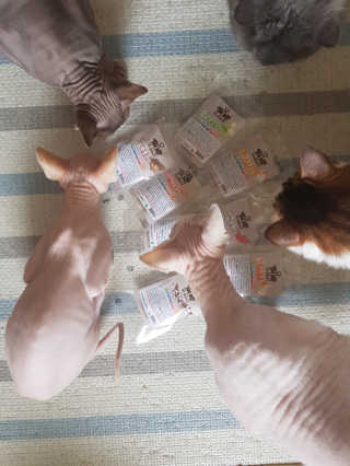 마뇨님이 올린 리뷰 사진 1