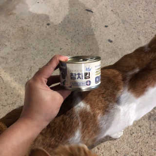 김다경님이 올린 리뷰 사진 2