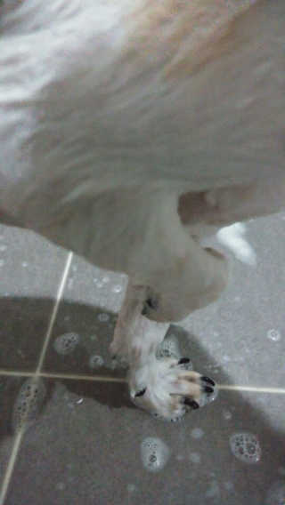 이희은님이 올린 리뷰 사진 2