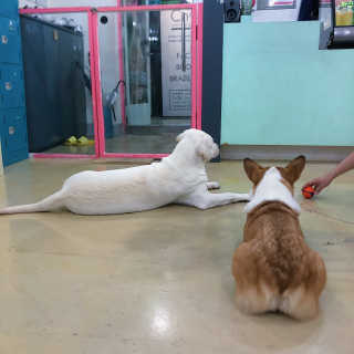 조리님이 올린 리뷰 사진 3