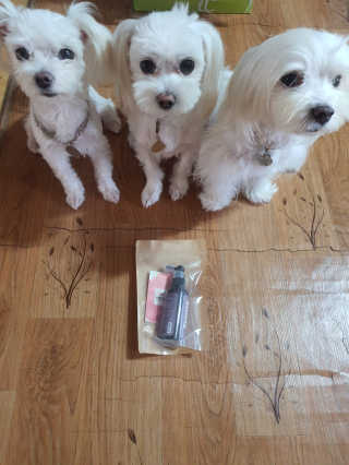 공팔리터님이 올린 리뷰 사진 1