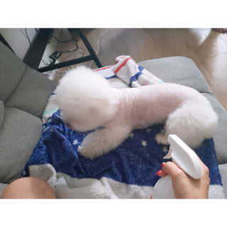이윤주님이 올린 리뷰 사진 3