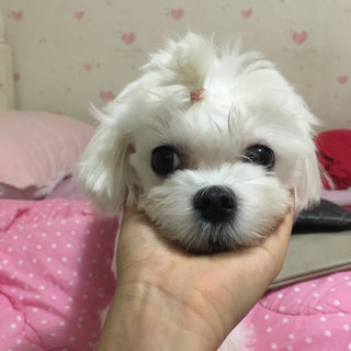 에디니님이 올린 리뷰 사진 1